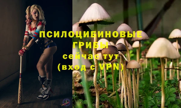 винт Барнаул